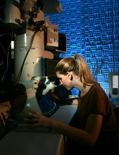 An ASU student researcher uses an electron microscope in ASU's John M. Cowley Center for High Resolution Microscopy lab, which was managed for more than two decades by John Wheatley. A room in the center was recently named for Wheatley to honor his contributions to the lab's success.