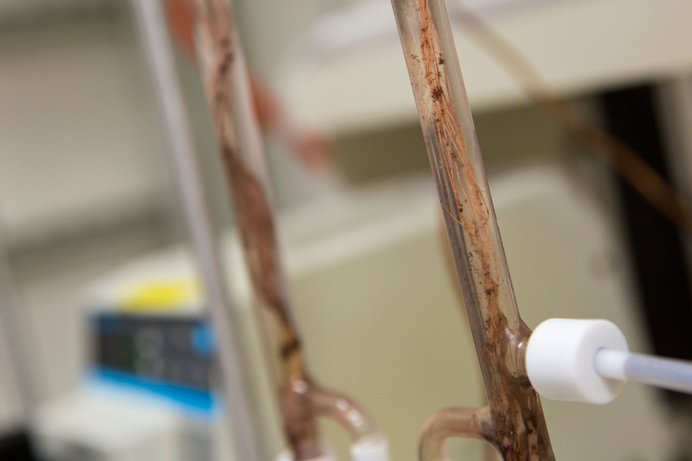 Bruce Rittmann's Membrane Biofilm Reactor is a commercialized technology that uses bacteria to decontaminate water.