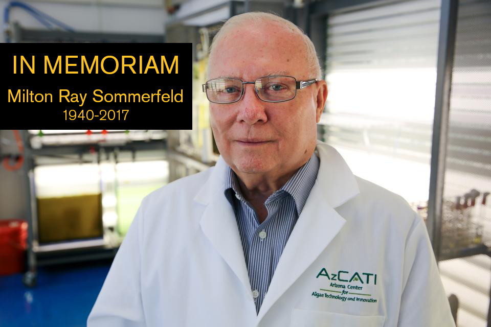 Portrait of Milton Sommerfeld with overlaying text saying "IN MEMORIAM, Milton Ray Sommerfeld, 1940-2017"