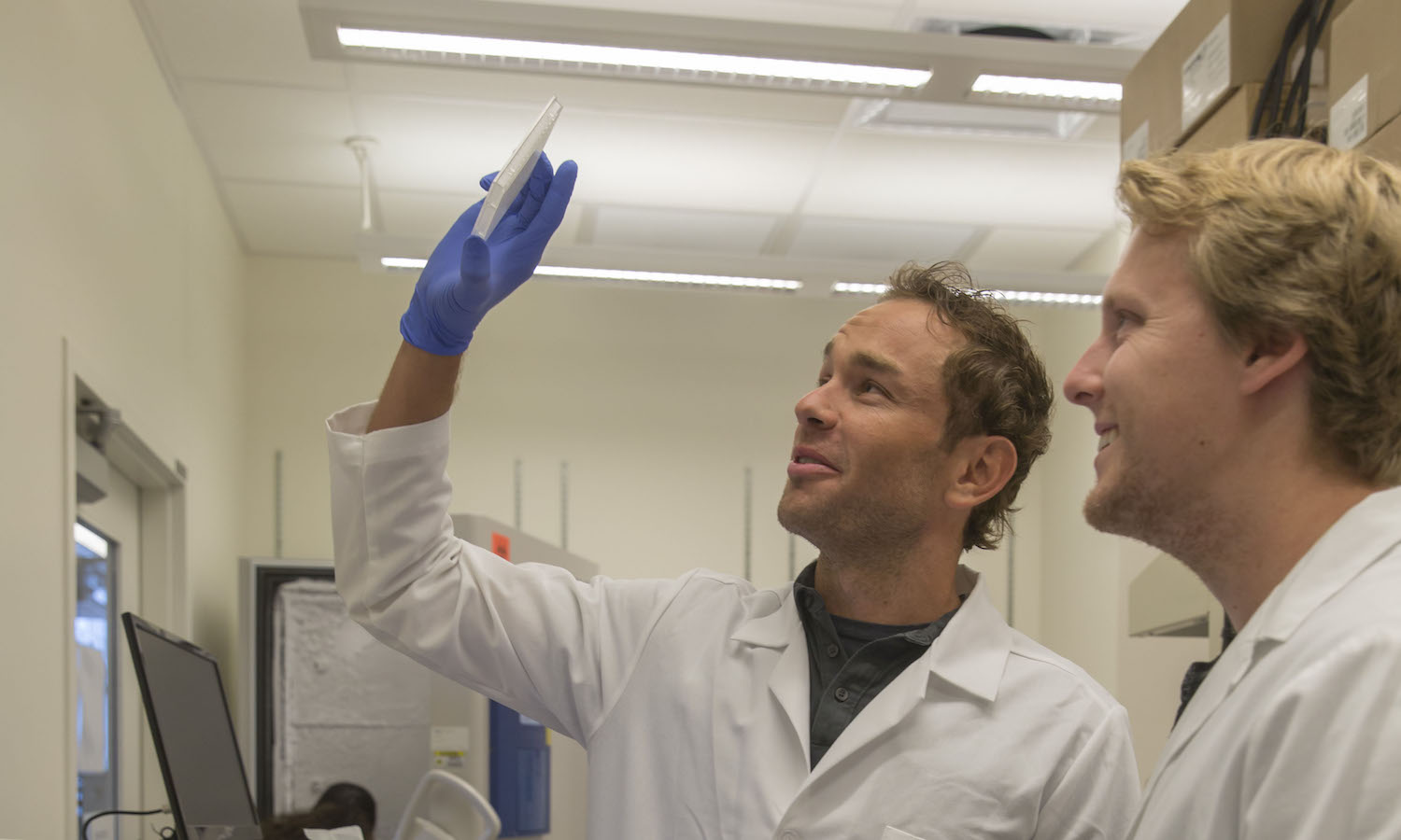 Photo of two men in lab coats with one holding up a dish. Caption: David Brafman (left) and Nick Brookhouser examining a plate used in an assay to characterize the identity of the hiPSC-derived neurons used in their research. Photographer: Jessica Hochreiter/ASU