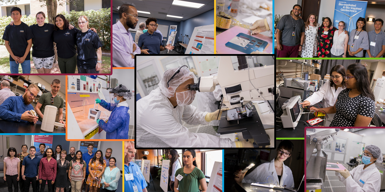 collage of images of different people in labs