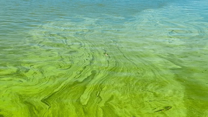 Social media preview image.