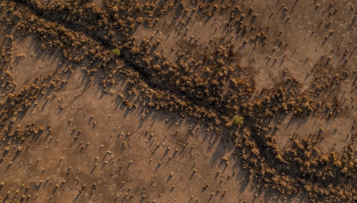 Social media preview image.