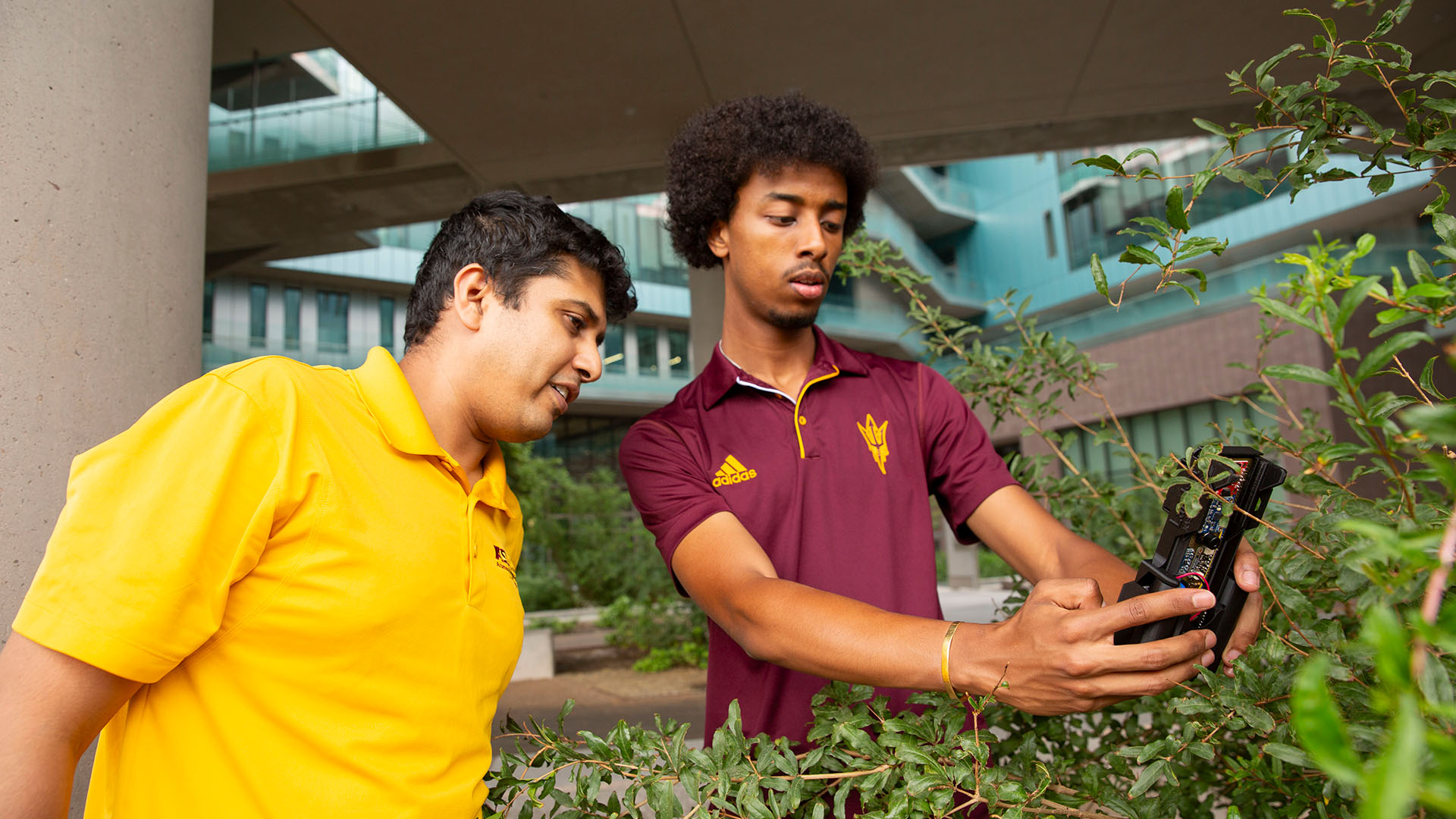 Saurav Kumar and Ahadu Assegued